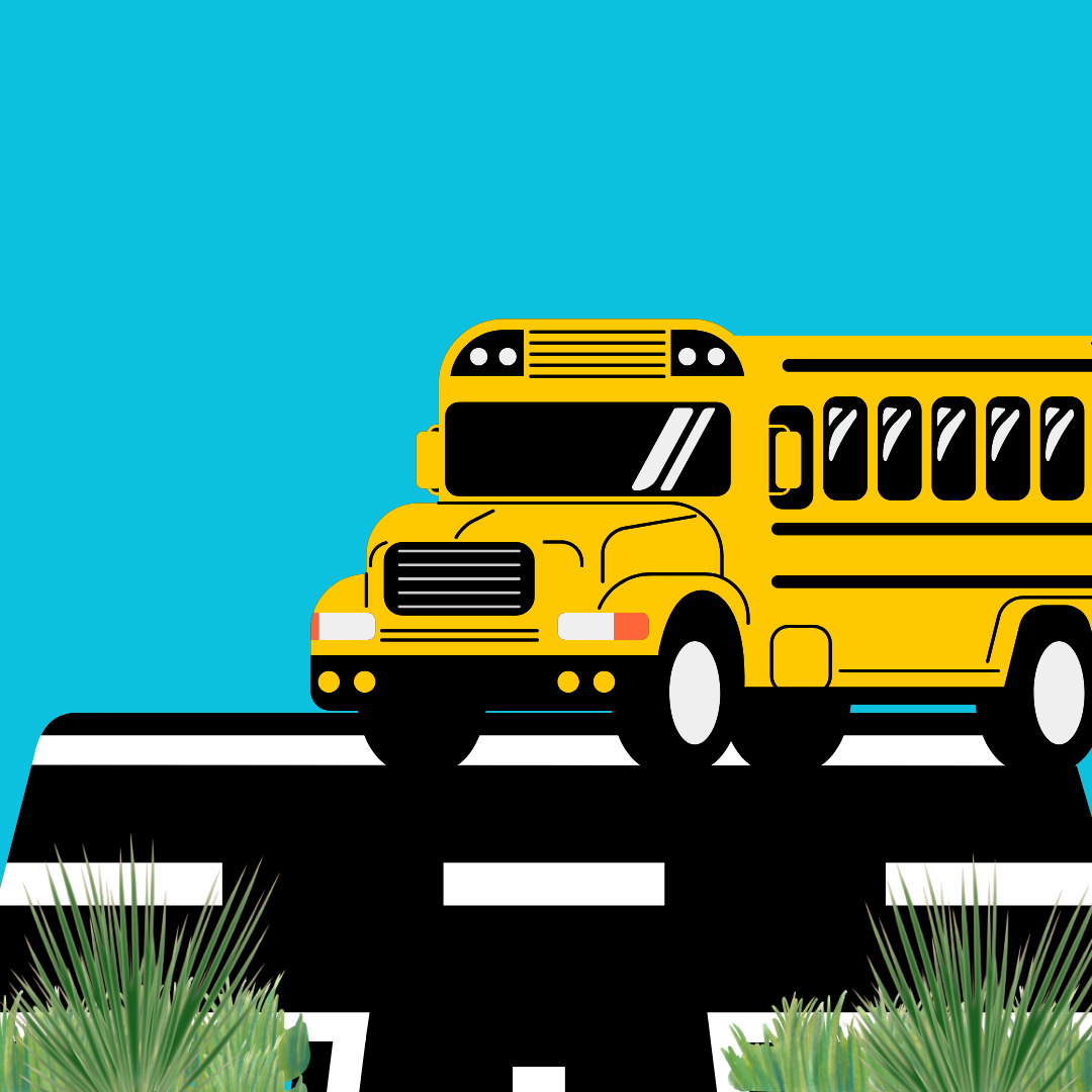 School Field Trips